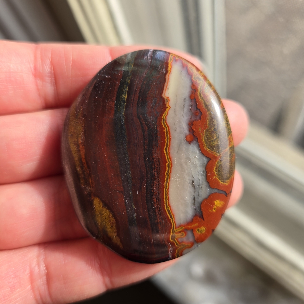 Tiger Iron Palm Stone